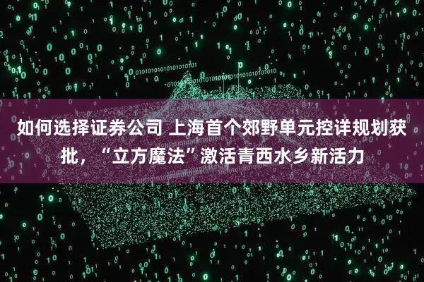 如何选择证券公司 上海首个郊野单元控详规划获批，“立方魔法”激活青西水乡新活力